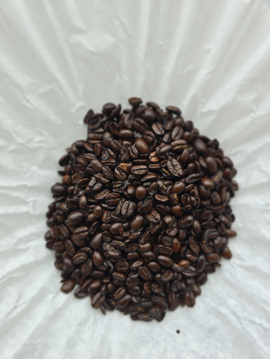 Colombian French Roast Coffee Beans